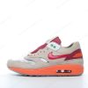 Billige Sko Nike Air Max 1 ‘Brun Orange’ DD1870-100